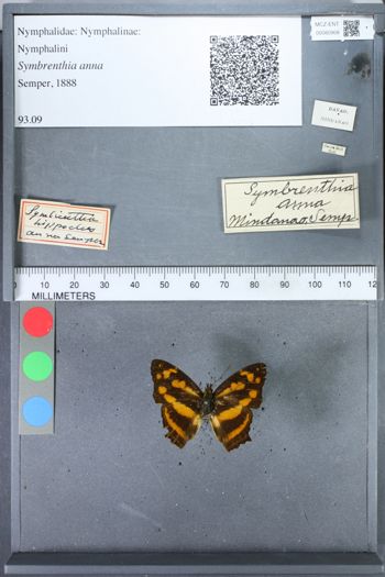 Media type: image;   Entomology 80908